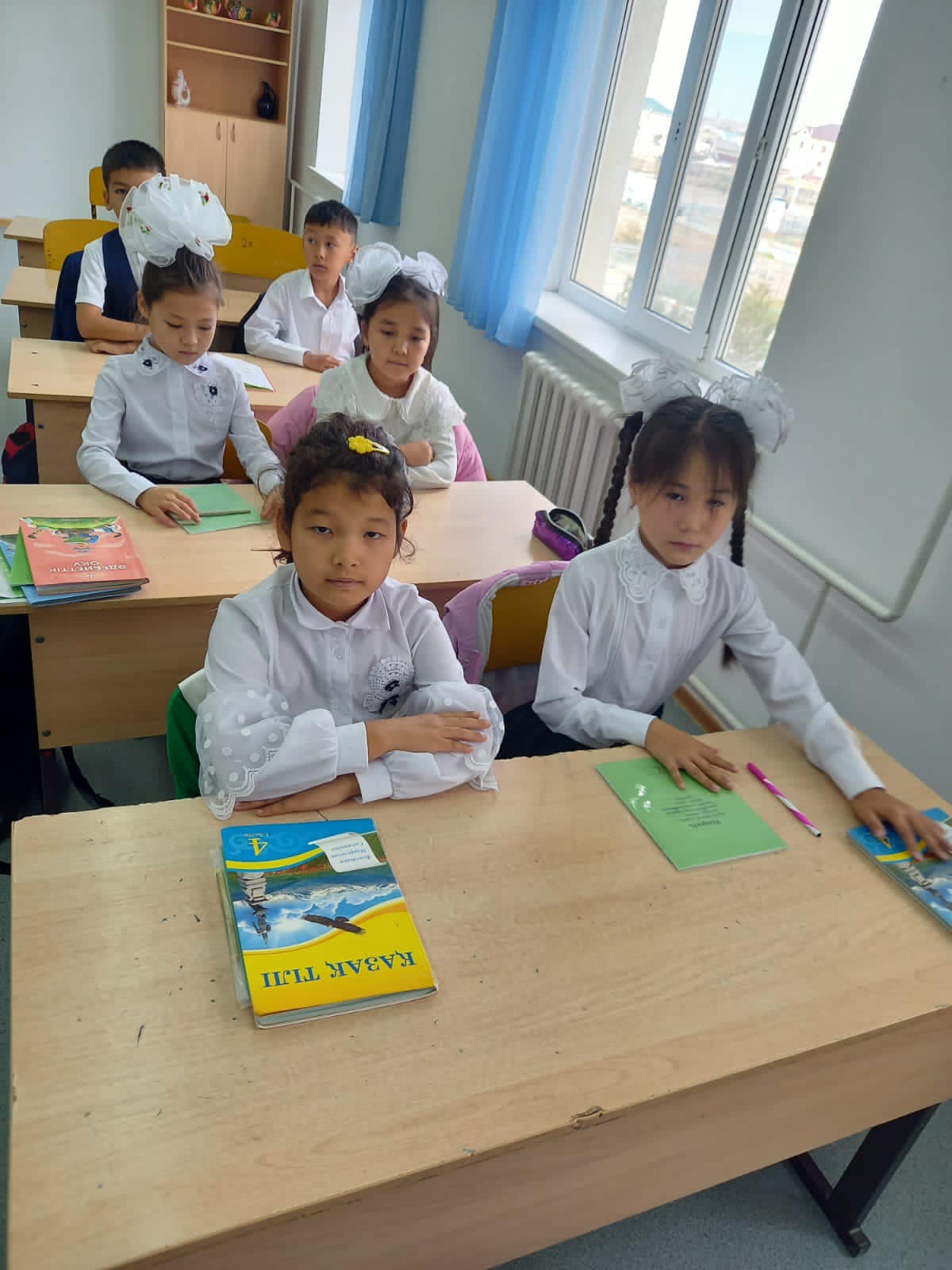 311603495 1562200760903207 384838187100962490 n